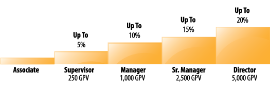 StepUp Generation Program